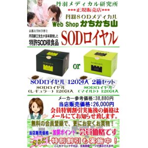 丹羽 SODロイヤル(マイルド)120包入 【2箱以上で地域別送料より800円