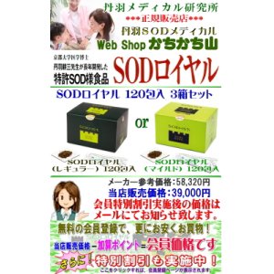 丹羽 SODロイヤル 120包入 ２箱セット【地域別送料－800円・特別割引