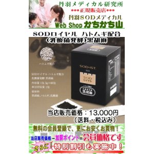 画像: SODロイヤル 黒ゴマ（乳酸菌発酵）60包入 【3箱以上で地域別送料－800円適用！・特別割引実施中！】