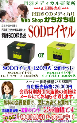 丹羽 SODロイヤル 120包入 ２箱セット【地域別送料－800円・特別割引
